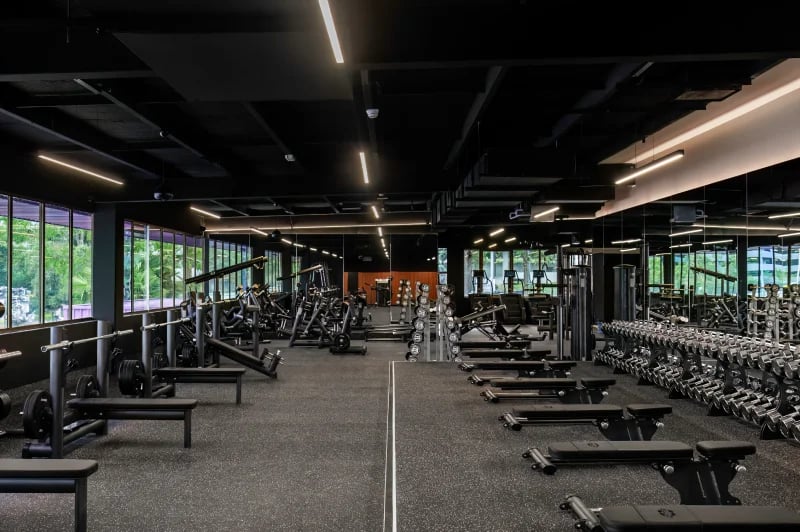 Chatswood gym 2