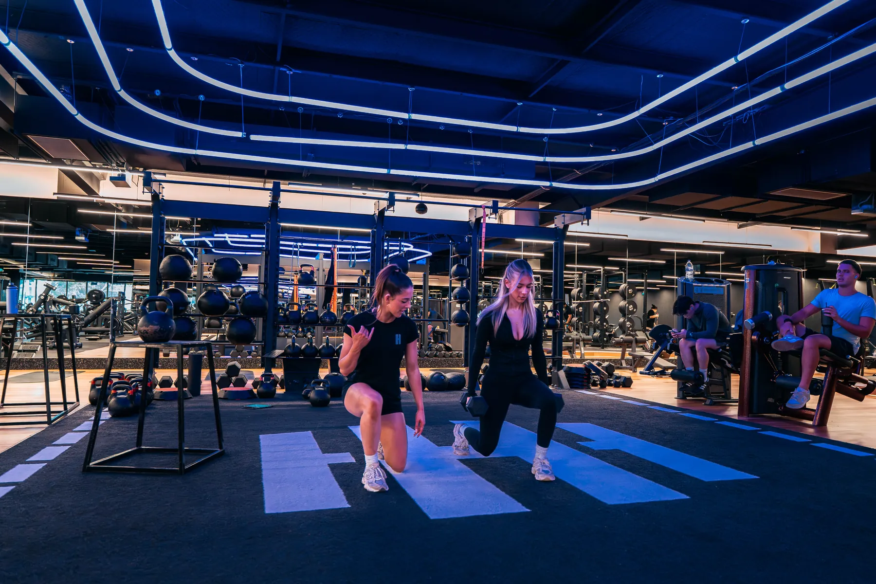 Hybrid Training